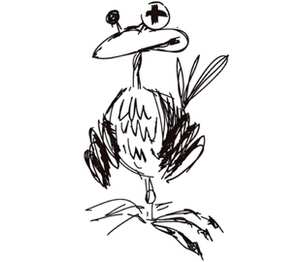 Птичка детская футболка с коротким рукавом (цвет: белый)