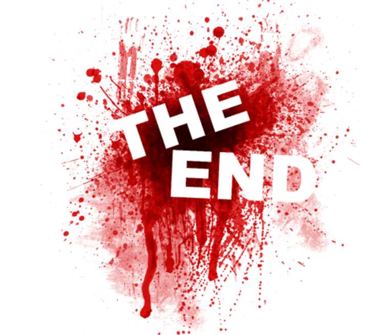 Вместо end. The end. The end картинка. En. Ава the end.