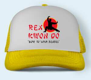 Rex Kwon Do bow to your sensei бейсболка (цвет: желтый)