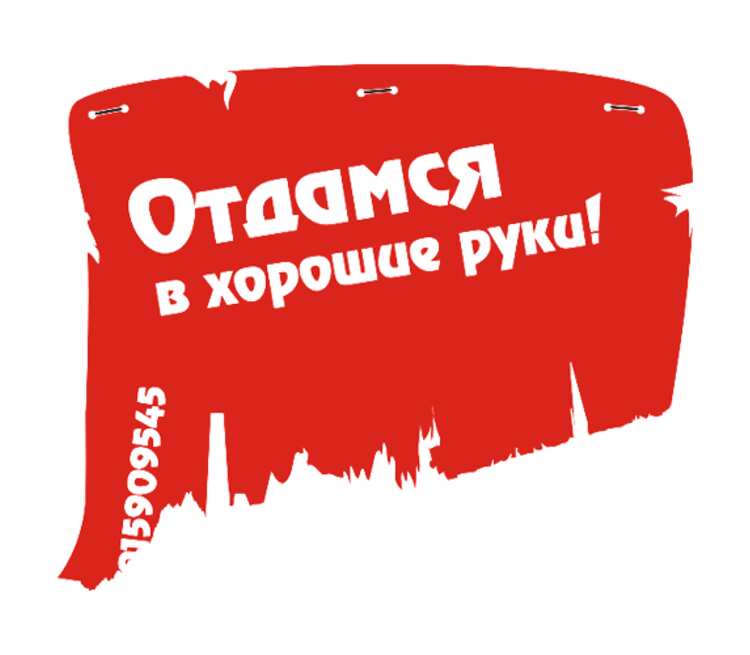 Отдамся в хорошие руки картинки