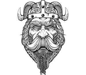 Старый викинг - мудрый воин! детская футболка с коротким рукавом (цвет: белый)