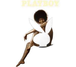 Playboy Darine Stern женская футболка с коротким рукавом (цвет: белый)