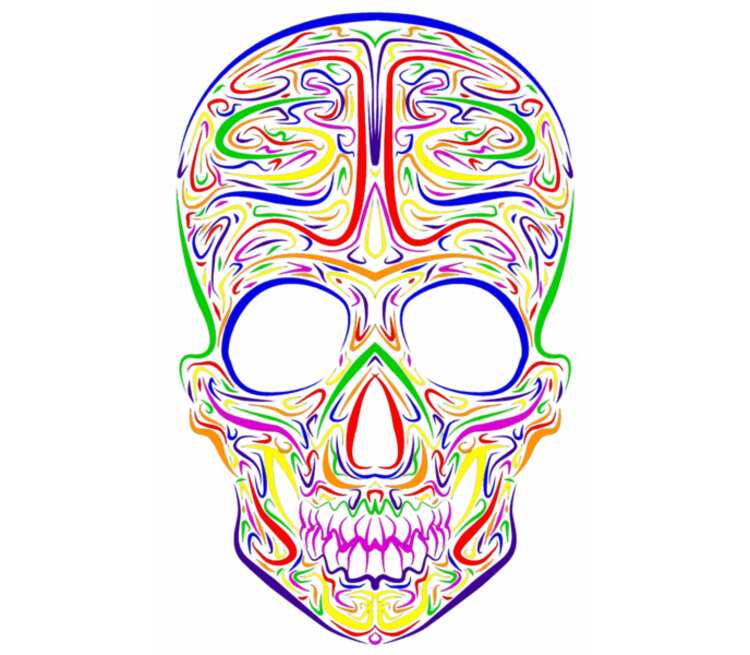 Skull Art кружка двухцветная (цвет: белый + голубой)