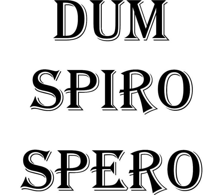 Dum spiro spero картинка