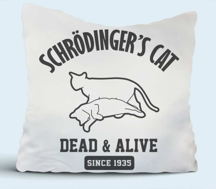 Перевод песни your cat is dead. Кот Шредингера игрушка. Alive Pillow.