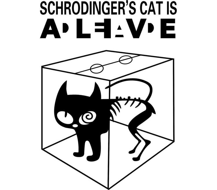 It s my cat. Мысленный эксперимент кот Шредингера. Разыскивается кот Шредингера живым и мертвым. Шредингер кот Шредингера.