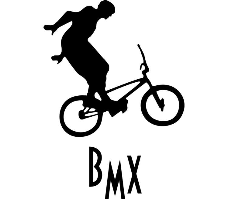 Карта памяти bmx