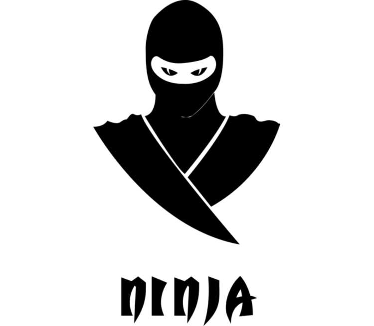 Наклейка ниндзя. Стикеры ниндзя. Плащ мужской ниндзя. Team Ninja наклейка. Красивая надпись ниндзя.