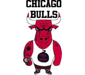Chicago Bulls кружка двухцветная (цвет: белый + черный)
