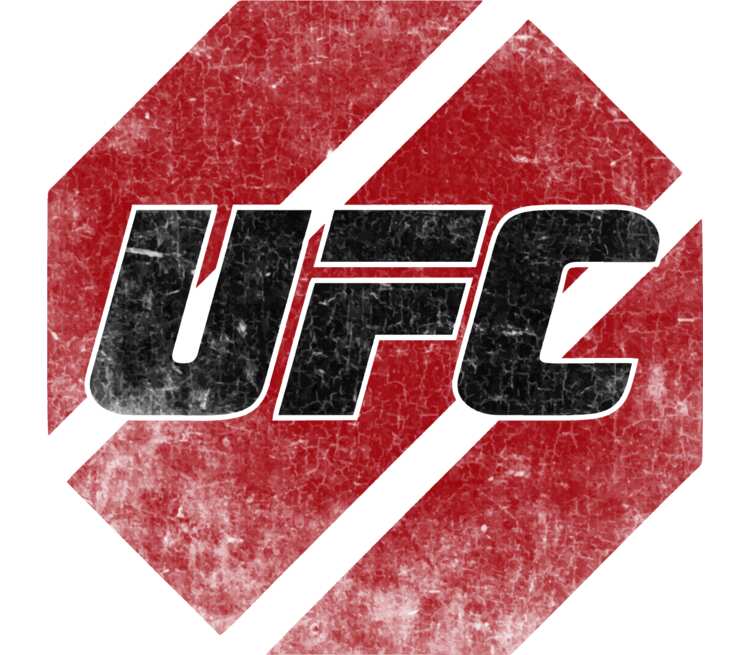 UFC стенд