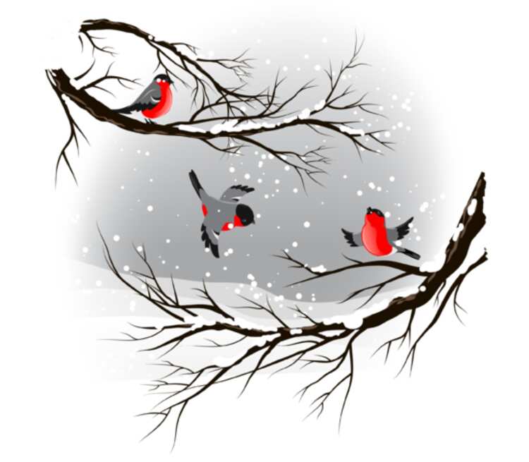Снегири кружка хамелеон двухцветная (цвет: белый + красный)