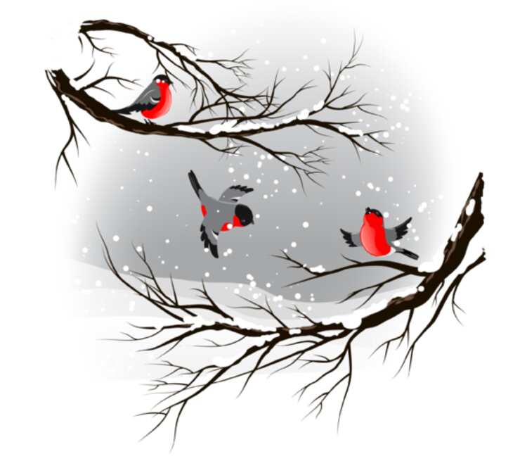 Снегири кружка с ложкой в ручке (цвет: белый + красный)