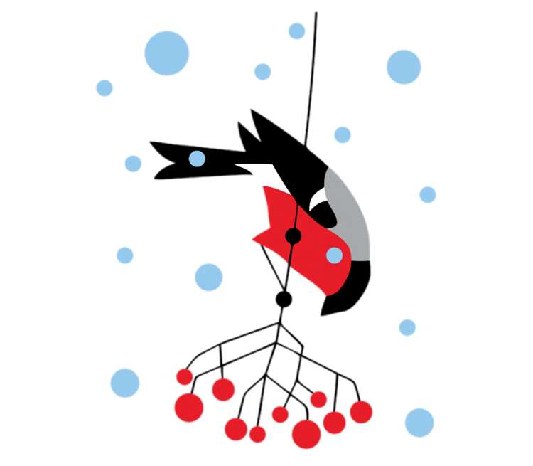 Снегирь на веточке кружка хамелеон двухцветная (цвет: белый + красный)