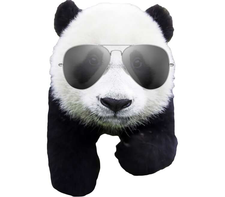 Панд в очках кружка хамелеон двухцветная (цвет: белый + розовый)