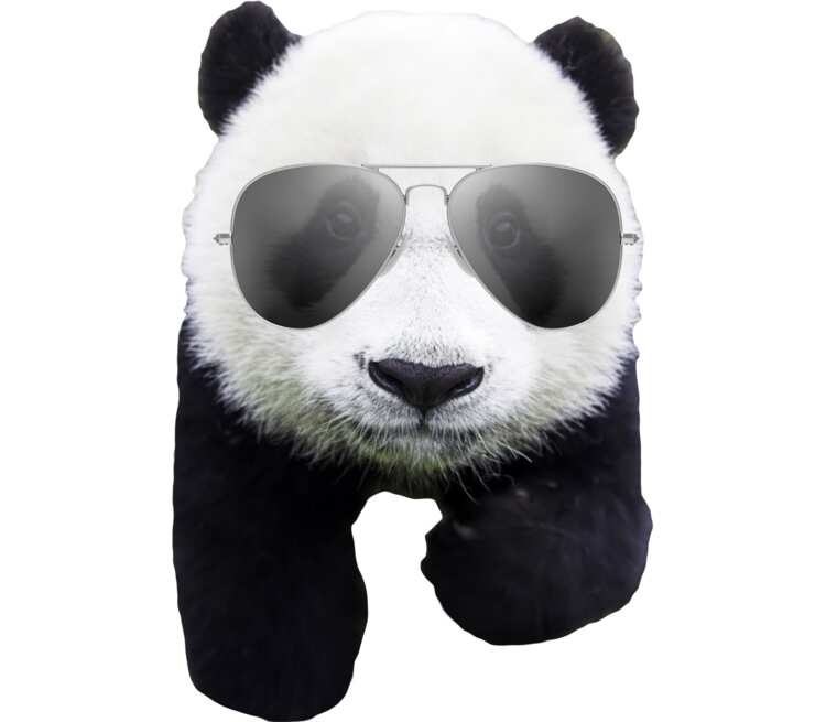 Панд в очках кружка с кантом (цвет: белый + синий)