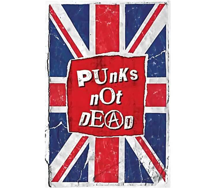 Punk not dead картинки